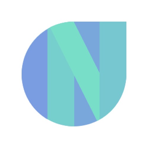 Newton School Logo